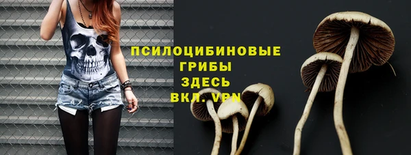 скорость Горняк