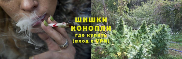 ECSTASY Артём
