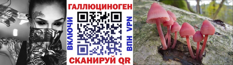 Галлюциногенные грибы Psilocybine cubensis  где продают   Десногорск 