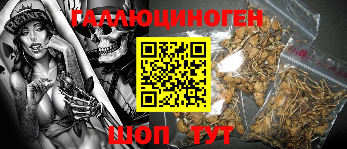 Псилоцибиновые грибы мухоморы  купить   Десногорск 