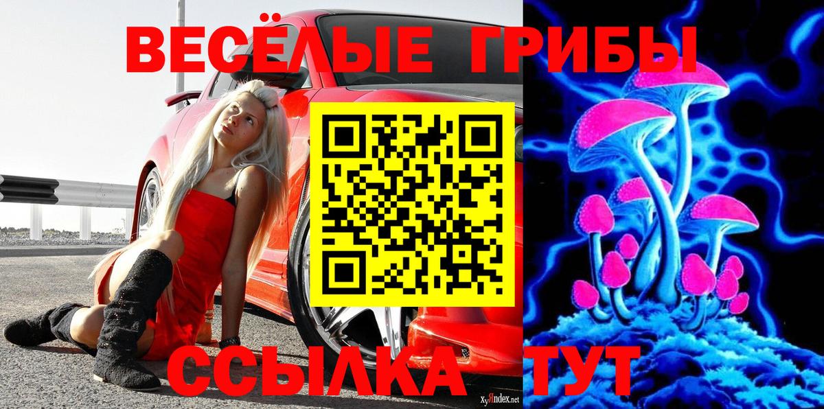 Десногорск  Псилоцибиновые грибы Cubensis  магазин продажи   Галлюциногенные грибы Magic Shrooms  Вход с VPN 