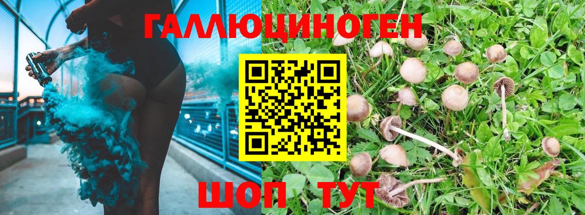 Галлюциногенные грибы Magic Shrooms Десногорск